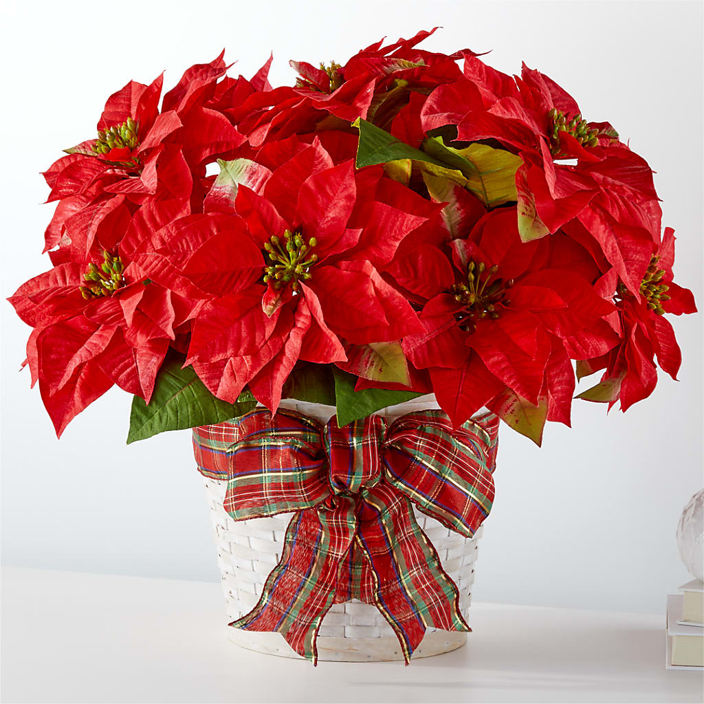 Happiest Holidays Poinsettia – The Rose Shop, Kerrville TX