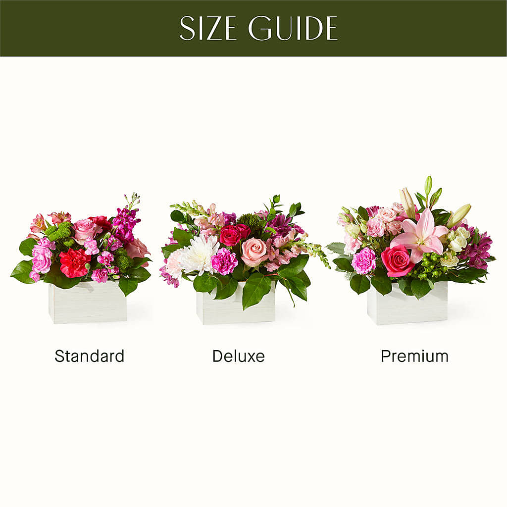 Sweetberry Box – A Florist Original – The Rose Shop, Kerrville TX