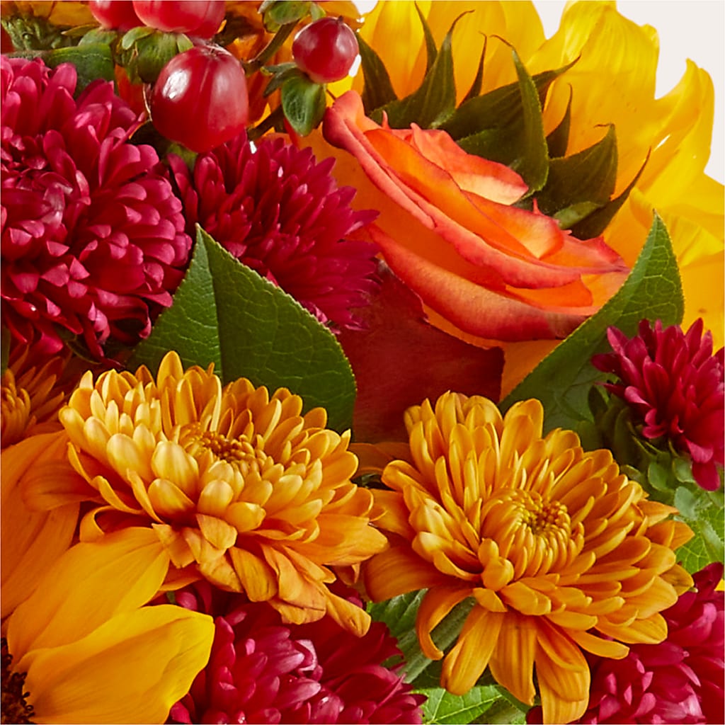 Sweater Season - A Florist Original – The Rose Shop, Kerrville TX