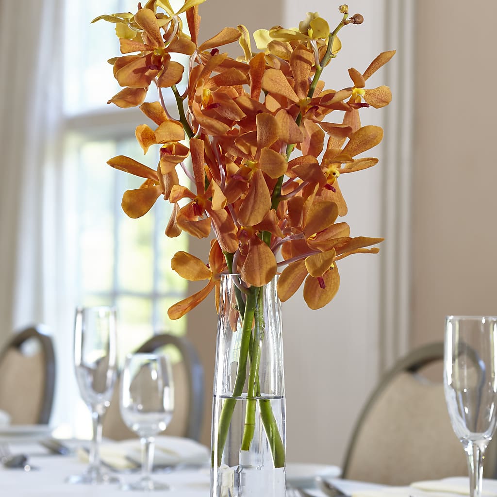 Orange Mokara Bud Vase – The Rose Shop, Kerrville TX