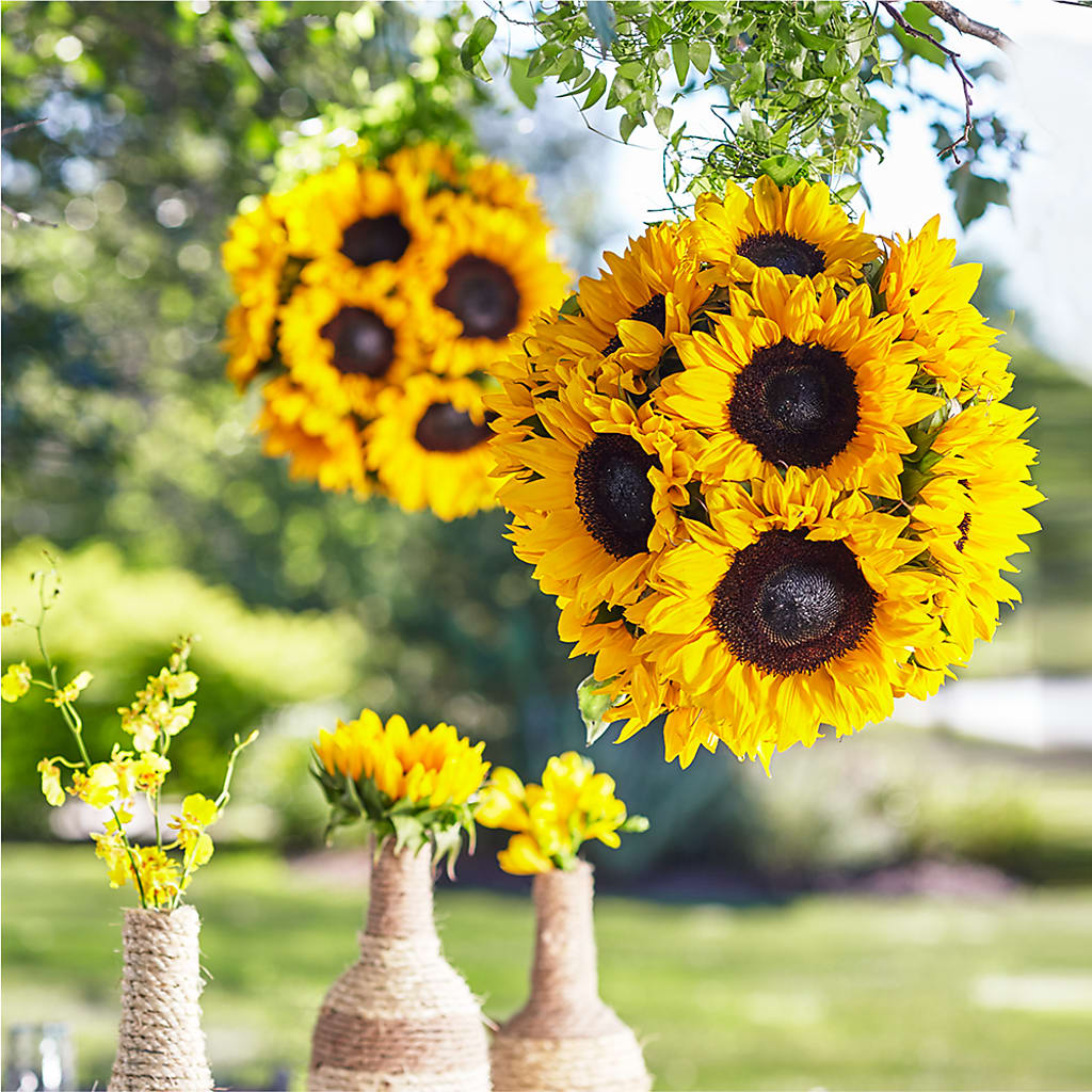 Sublime Garden Hanging Arrangement – The Rose Shop, Kerrville TX