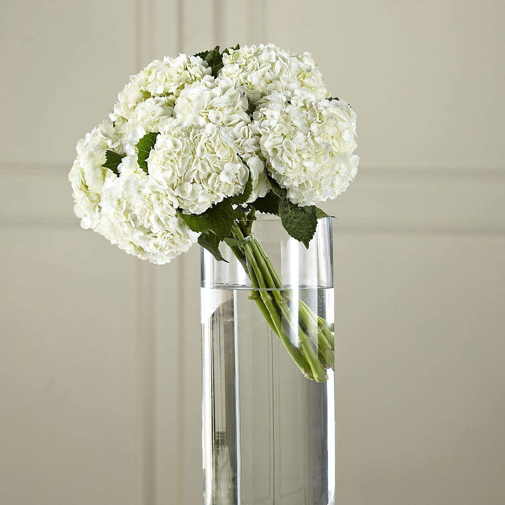 White Hydrangea Hand-Tied Bouquet – The Rose Shop, Kerrville TX