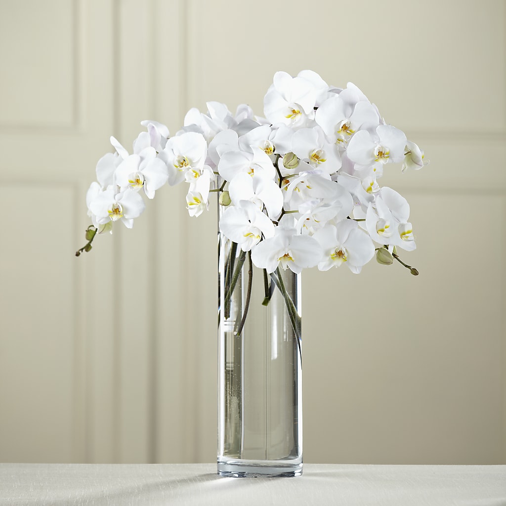 White Phalaenopsis Bouquet – The Rose Shop, Kerrville TX