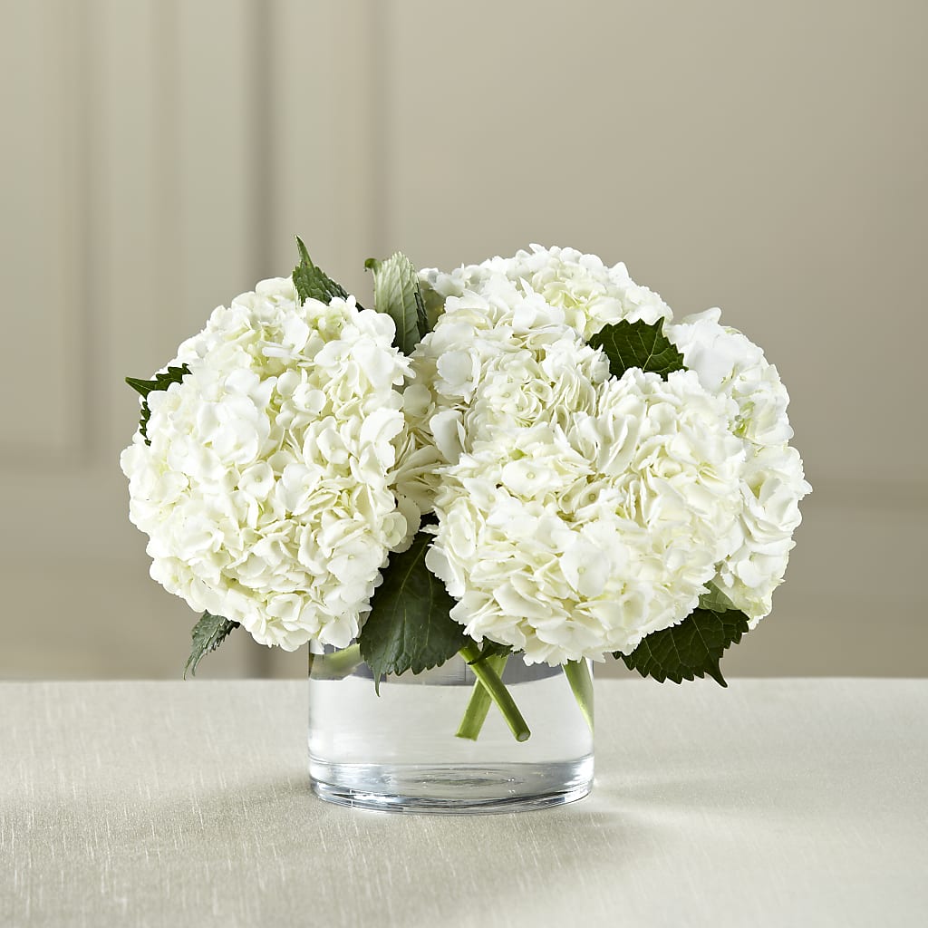 White Hydrangea Bouquet – The Rose Shop, Kerrville TX