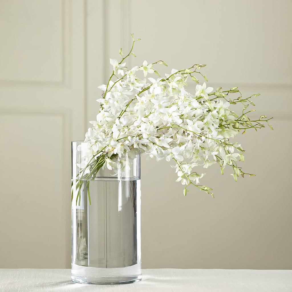 White Dendrobium Bouquet – The Rose Shop, Kerrville TX