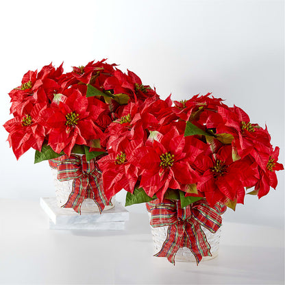 Happiest Holidays Poinsettia Bundle –  The Rose Shop, Kerrville TX
