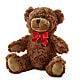 Adorable Plush Bear –  The Rose Shop, Kerrville TX