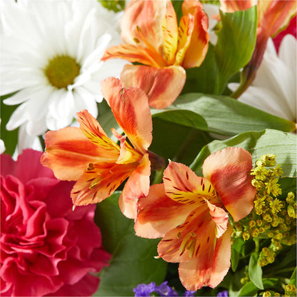 Oopsie Daisy Box Bouquet –  The Rose Shop, Kerrville TX