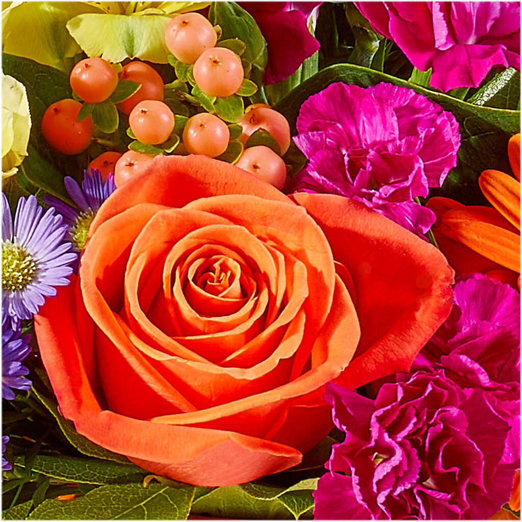 Tricks & Treats Pumpkin –  The Rose Shop, Kerrville TX