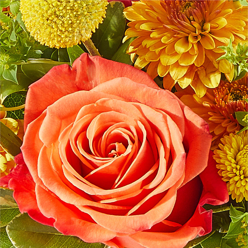 Gourdgeous Pumpkin –  The Rose Shop, Kerrville TX