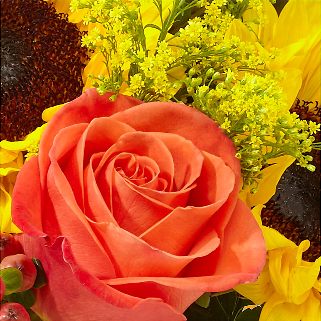 Pick of the Patch Pumpkin Bouquet –  The Rose Shop, Kerrville TX