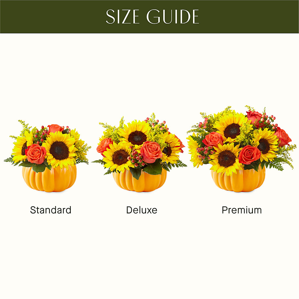 Pick of the Patch Pumpkin Bouquet –  The Rose Shop, Kerrville TX