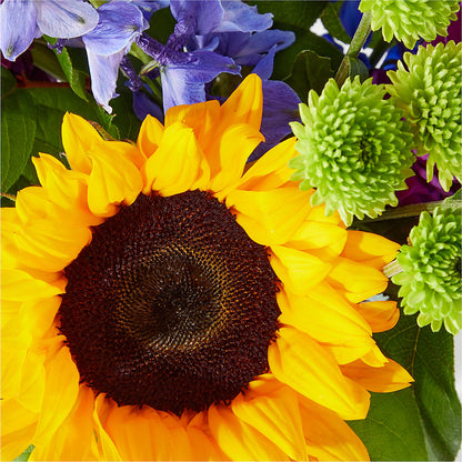 Catching Rays Bouquet –  The Rose Shop, Kerrville TX
