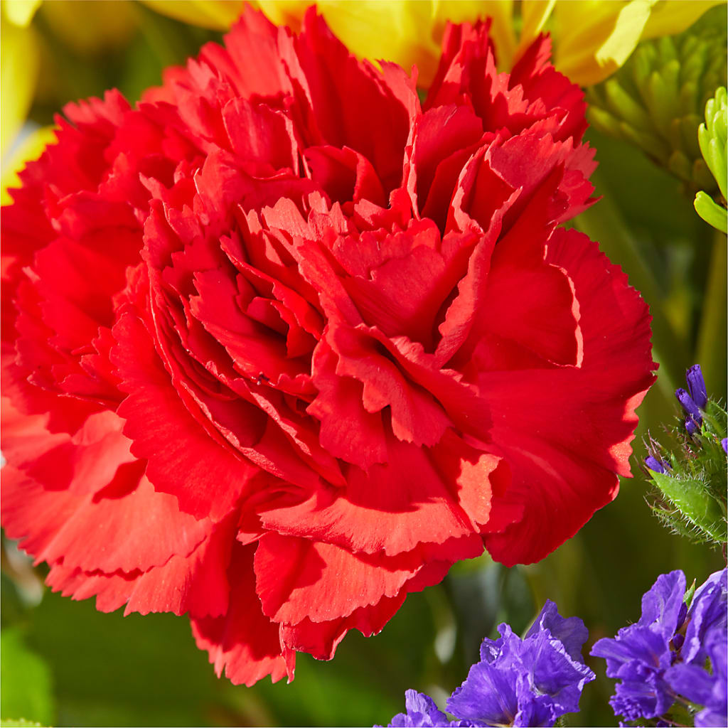 Brighter Days Bouquet –  The Rose Shop, Kerrville TX