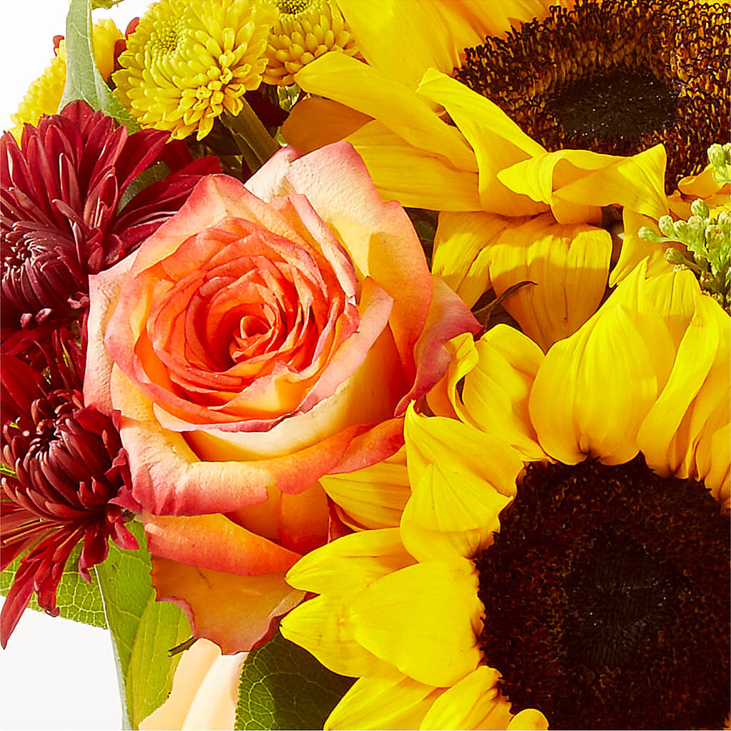 Golden Gourd Pumpkin Bouquet –  The Rose Shop, Kerrville TX