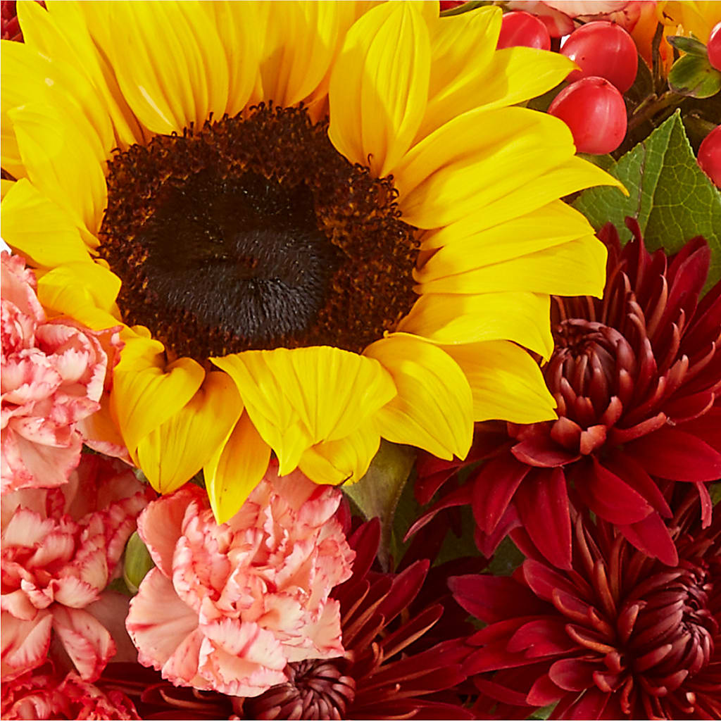 Fresh Cider Bouquet –  The Rose Shop, Kerrville TX