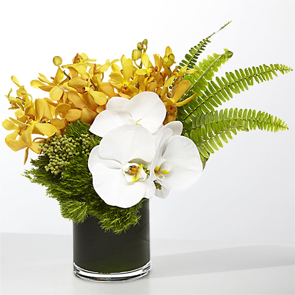The Tropics –  The Rose Shop, Kerrville TX