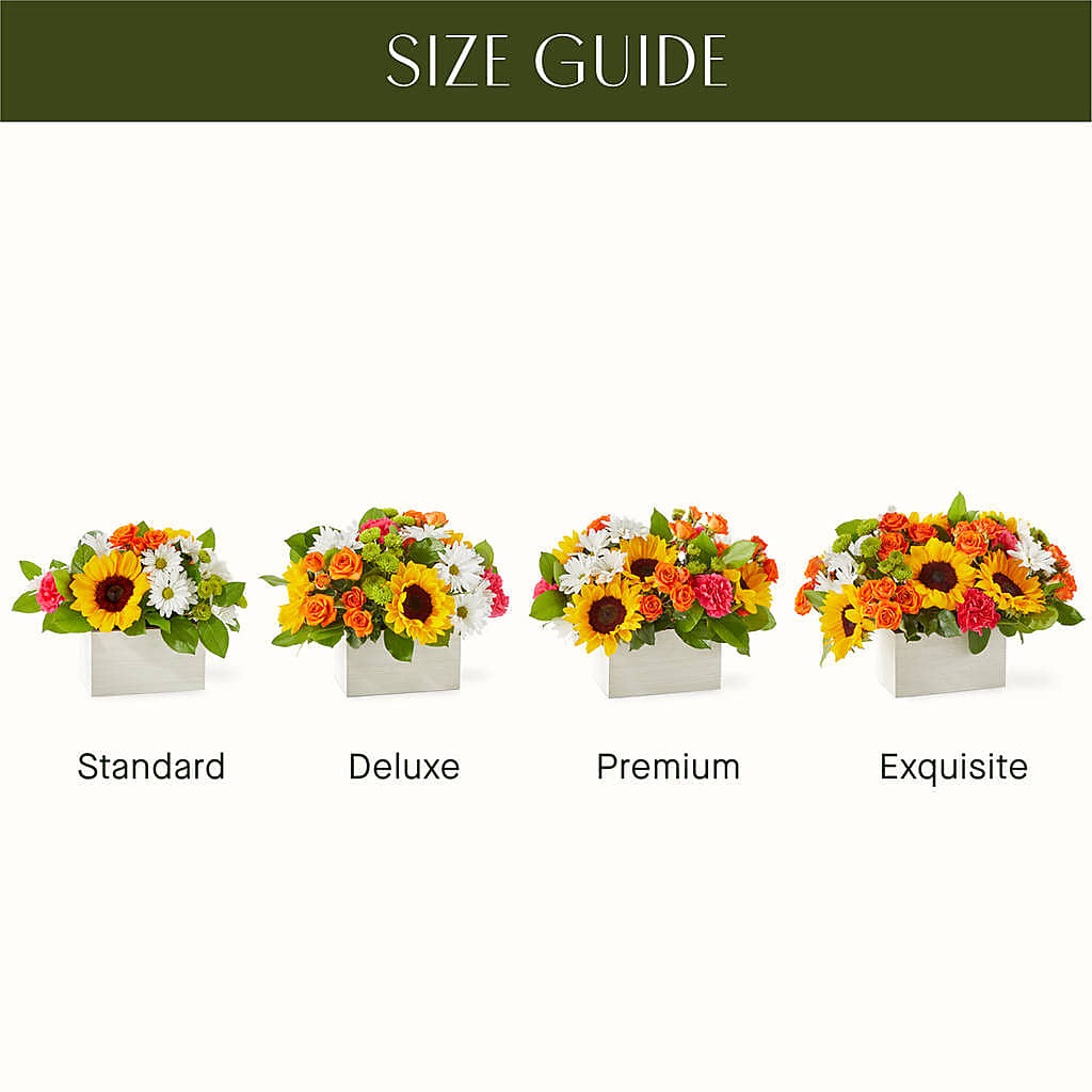 Sun-drenched Blooms Box Bouquet –  The Rose Shop, Kerrville TX