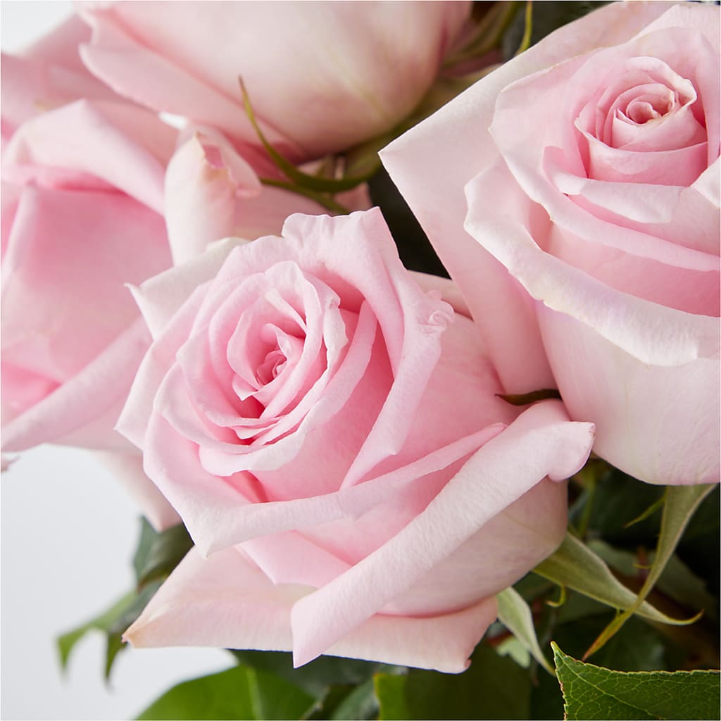 Picture Perfect Pink Rose Bouquet –  The Rose Shop, Kerrville TX