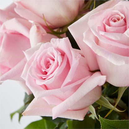 Picture Perfect Pink Rose Bouquet –  The Rose Shop, Kerrville TX
