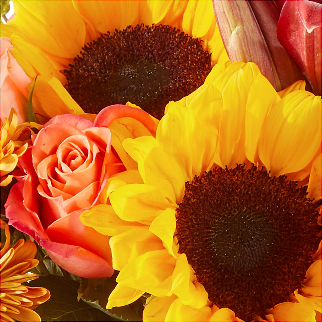 Acorn Lane Bouquet –  The Rose Shop, Kerrville TX