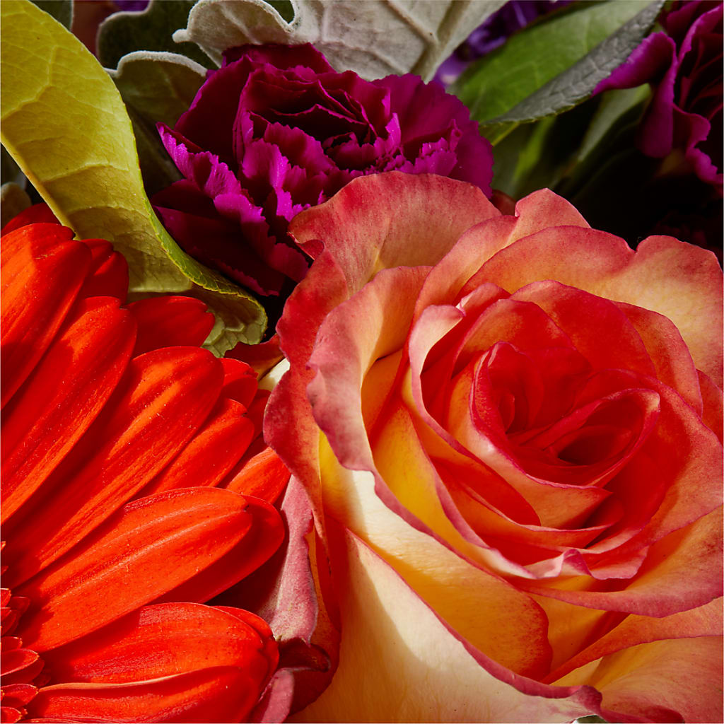 Sangria Bouquet –  The Rose Shop, Kerrville TX