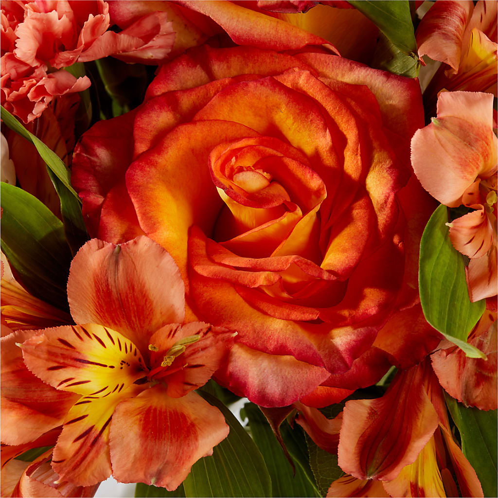 Apricot Glow Bouquet –  The Rose Shop, Kerrville TX