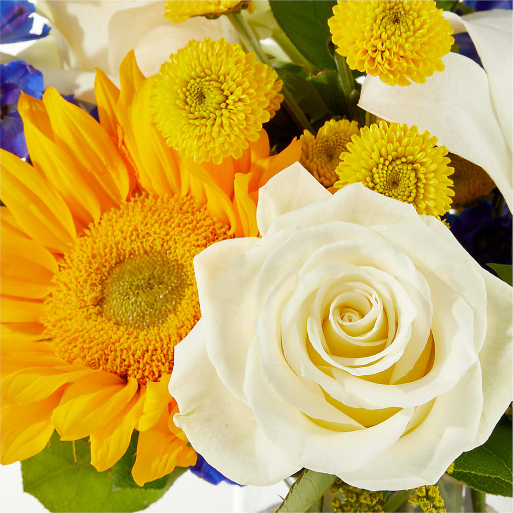 Stargazing Bouquet –  The Rose Shop, Kerrville TX