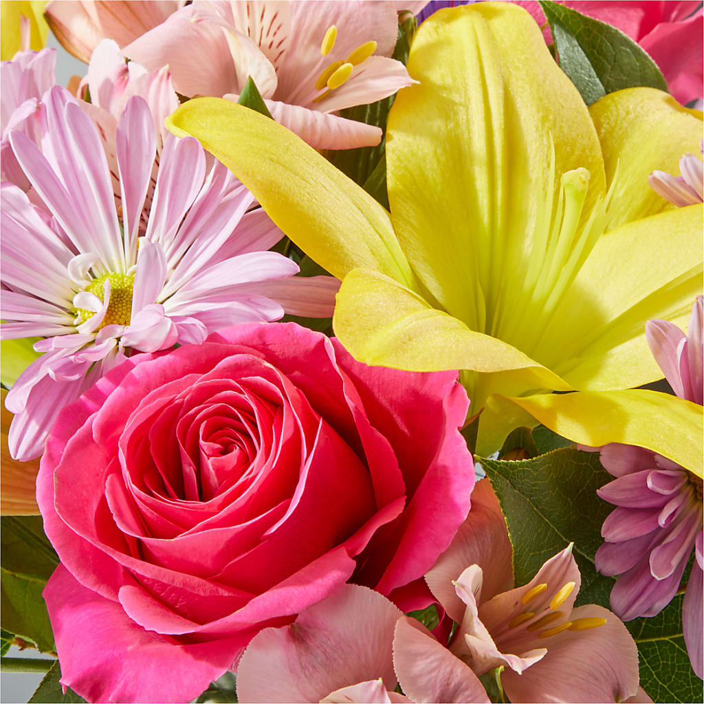 Sprinkles Bouquet –  The Rose Shop, Kerrville TX