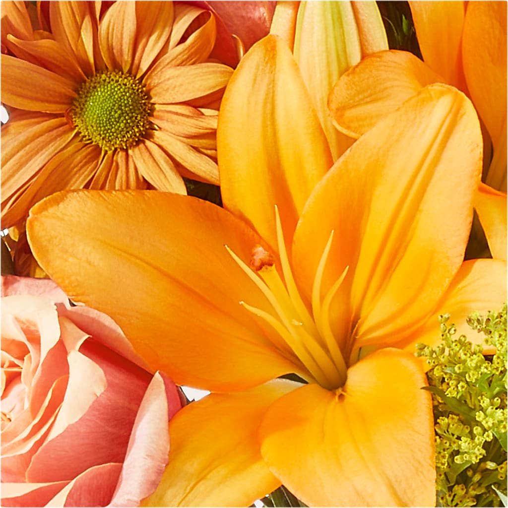 Harvest Hayride Bouquet –  The Rose Shop, Kerrville TX