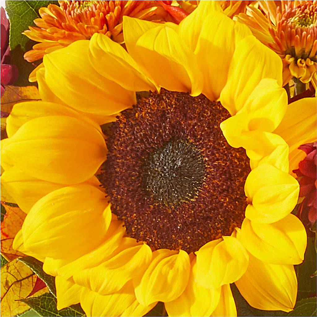Sunny Side Bouquet –  The Rose Shop, Kerrville TX