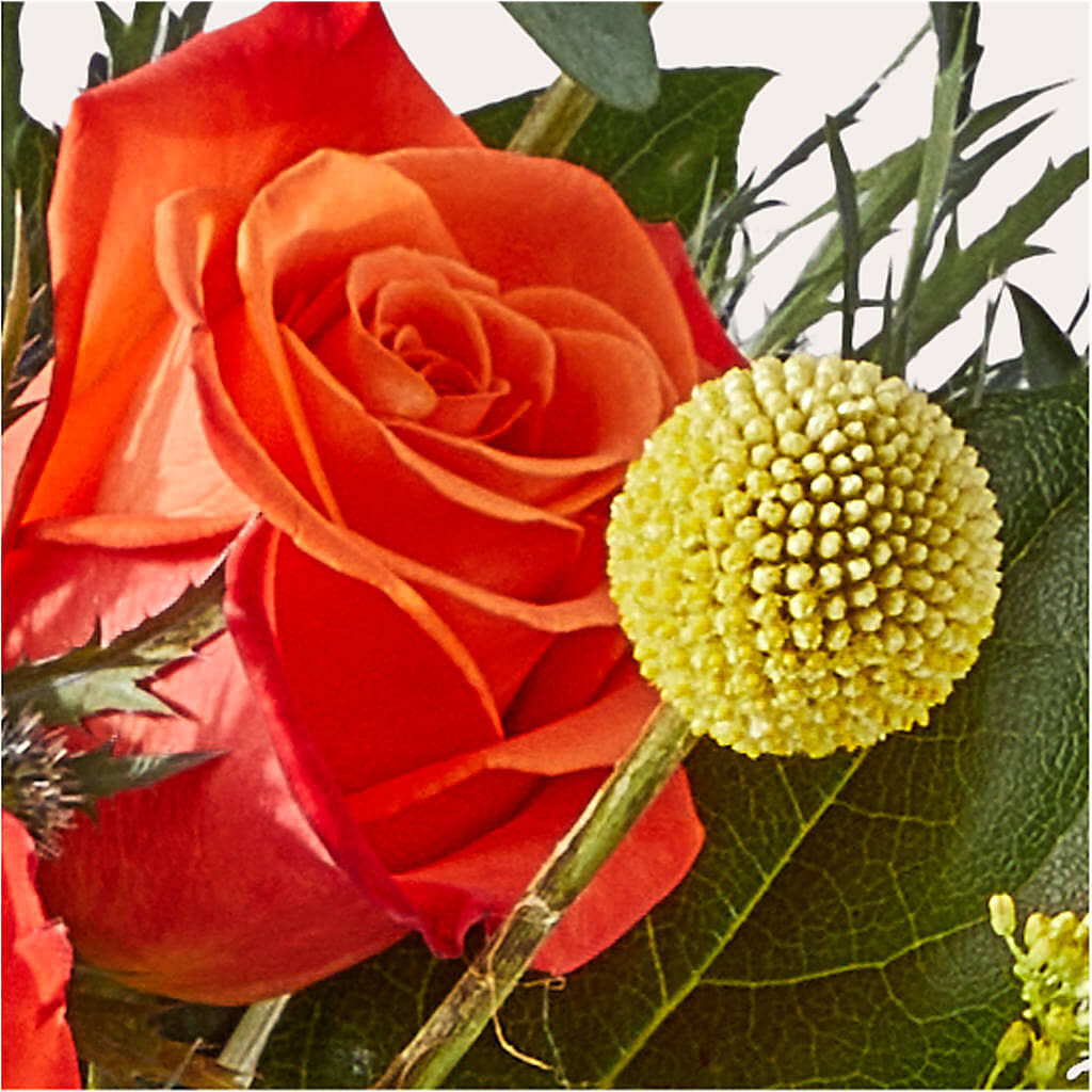 Disco Bouquet –  The Rose Shop, Kerrville TX