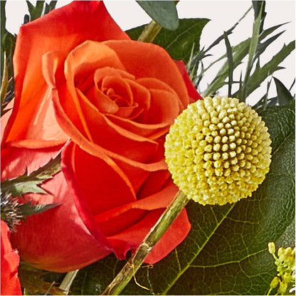 Disco Bouquet –  The Rose Shop, Kerrville TX