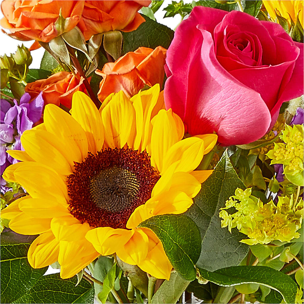 Vibrant Greetings Bouquet –  The Rose Shop, Kerrville TX