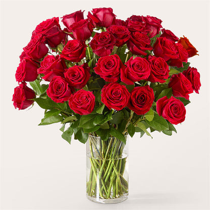 The One Red Rose Bouquet –  The Rose Shop, Kerrville TX