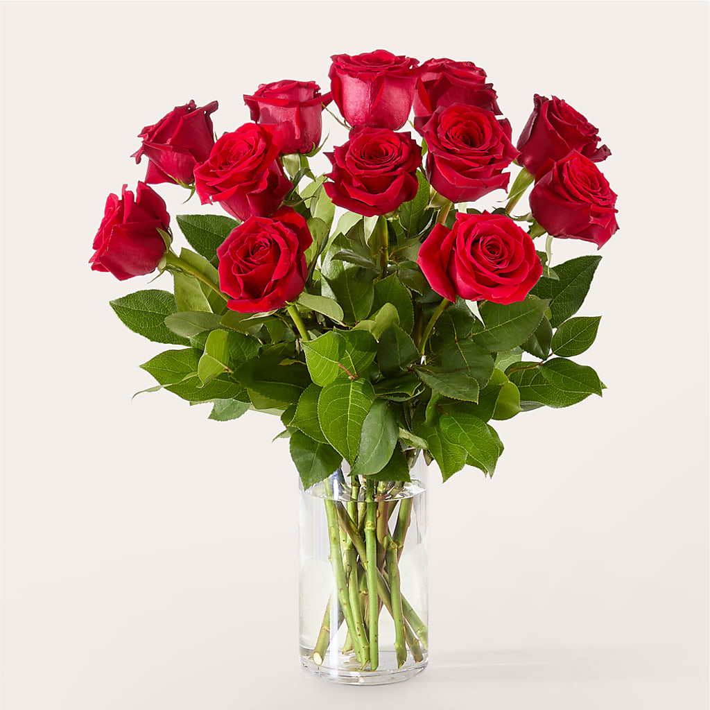 The One Red Rose Bouquet –  The Rose Shop, Kerrville TX