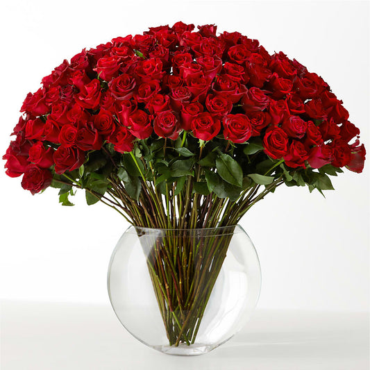 The Idealist –  The Rose Shop, Kerrville TX