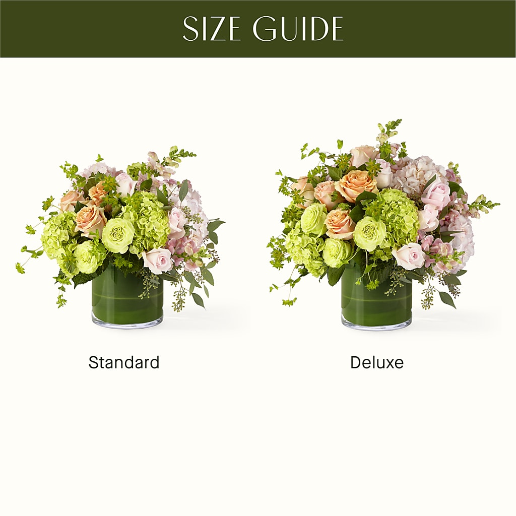 The Art Deco –  The Rose Shop, Kerrville TX