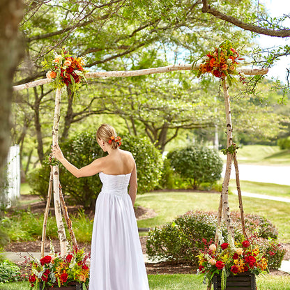 Arbor of Love Archway –  The Rose Shop, Kerrville TX