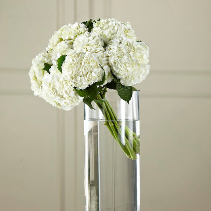 White Hydrangea Hand-Tied Bouquet –  The Rose Shop, Kerrville TX