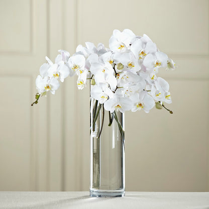 White Phalaenopsis Bouquet –  The Rose Shop, Kerrville TX